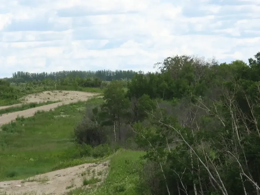 Cleared lot and woods