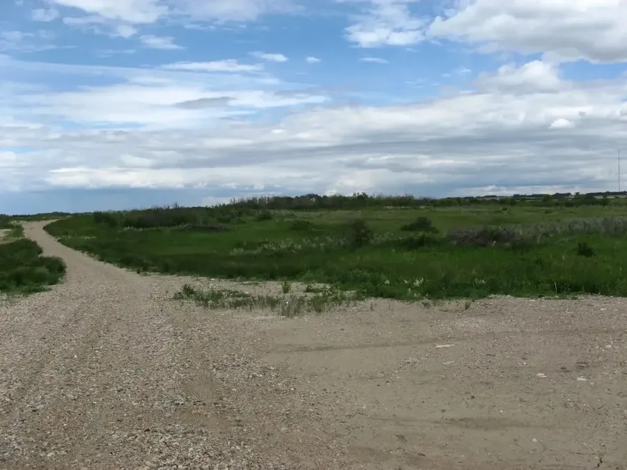 Cleared site and field