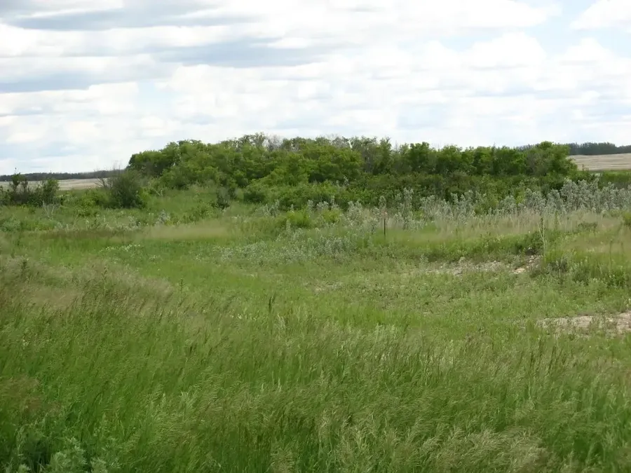 Field toward the horizon