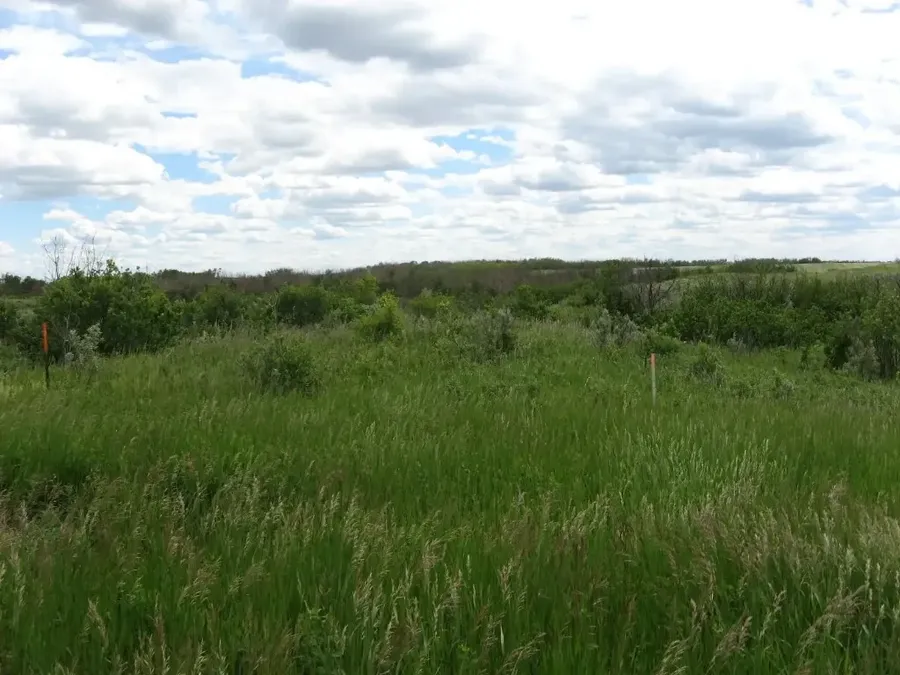 Gravel edge and meadow