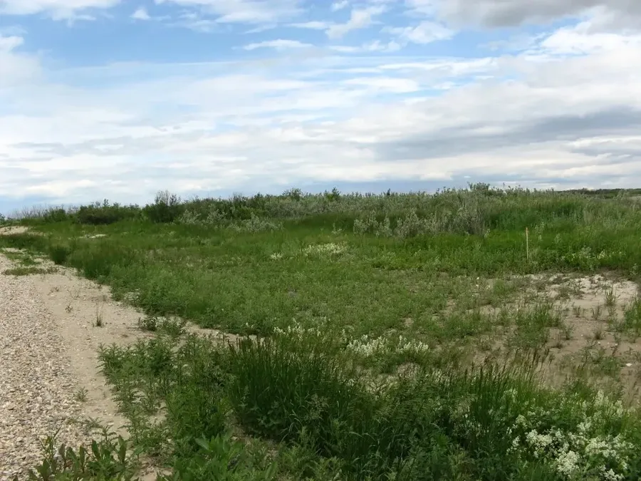 Lot with survey stake