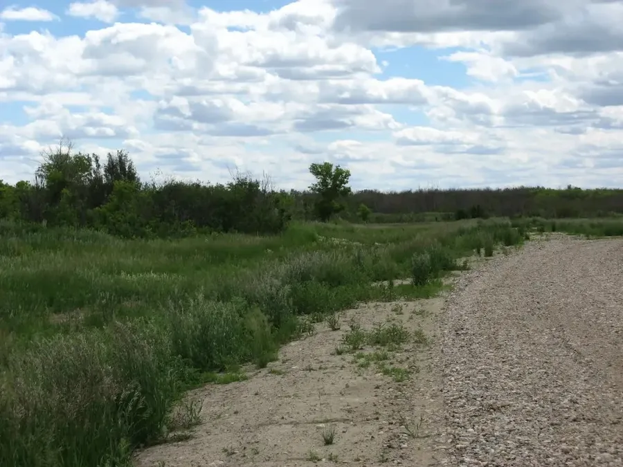 Meadow vista