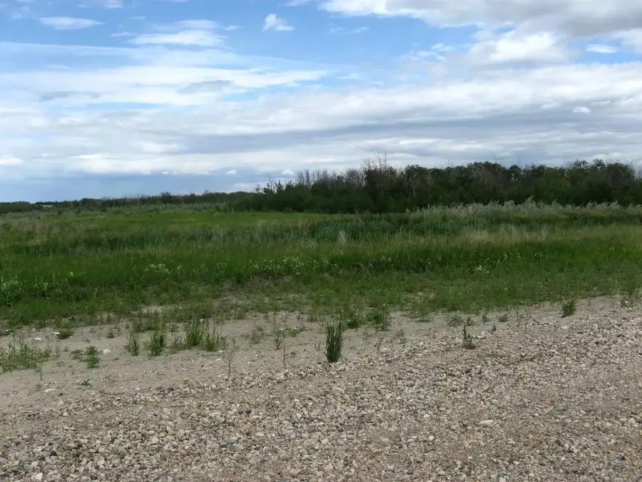 Meadow with survey marker