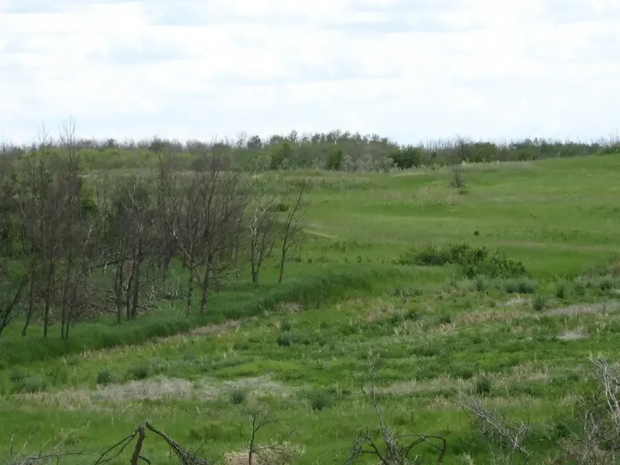 Open prairie field