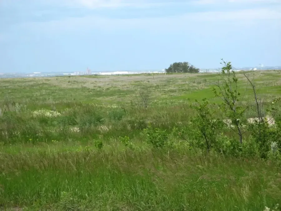 Surveyed green field